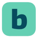 Branded Surveys Logo