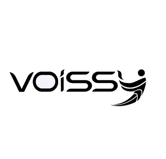 voissy.com logo